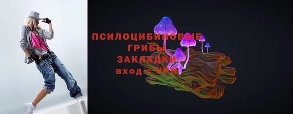 индика Вязники